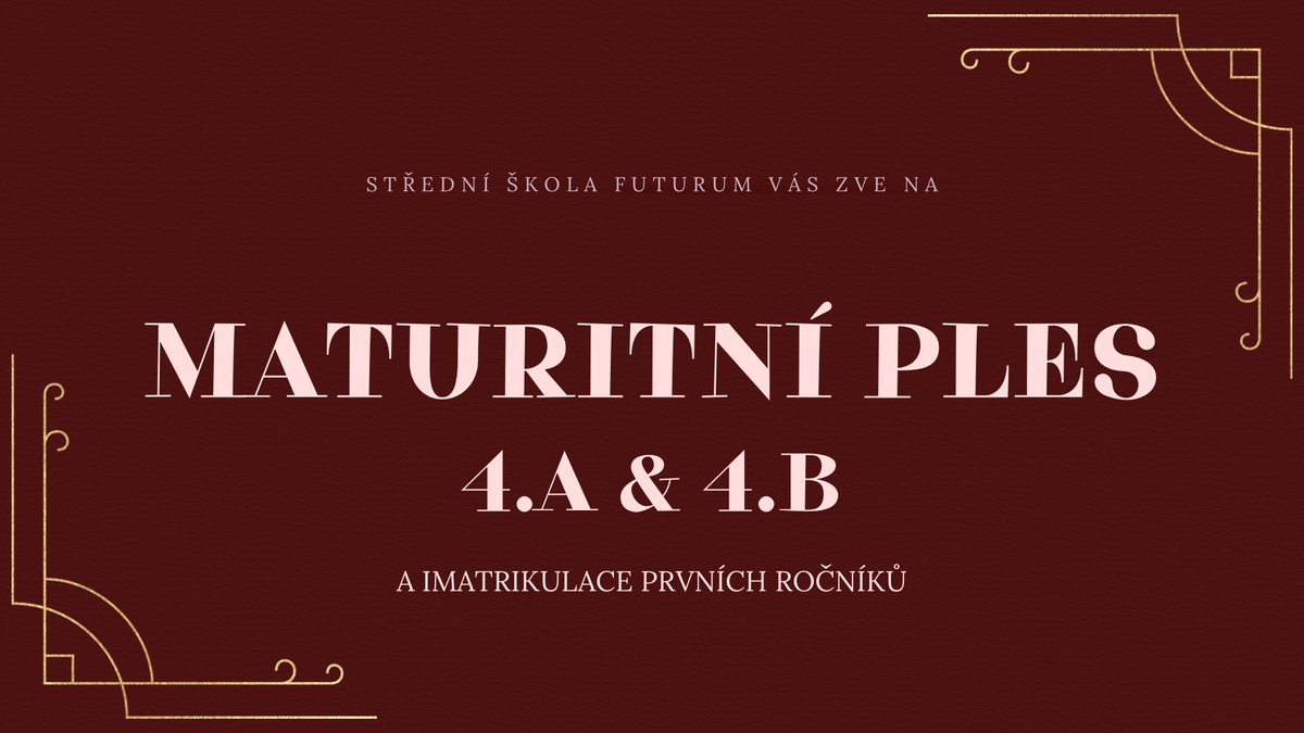 Maturitní ples - stání 