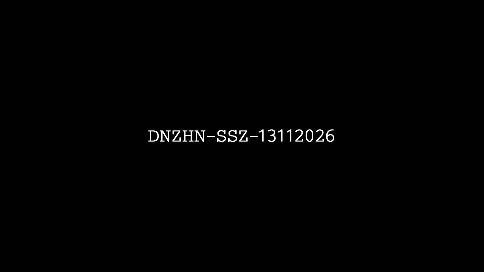DNZHN-SSZ- 13112026